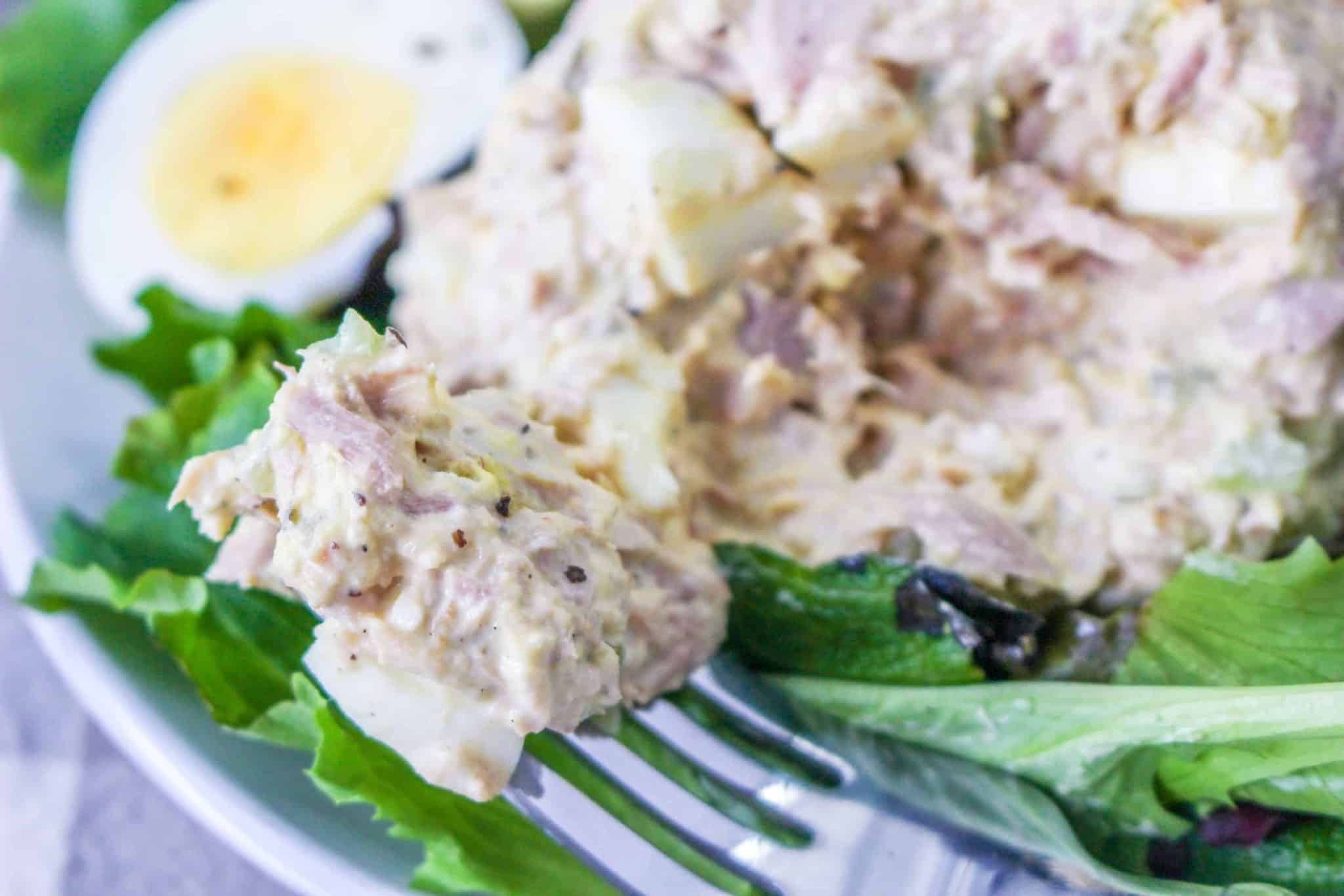 Classic Tuna Salad Recipe A Timeless Favorite
